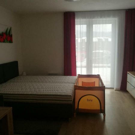 Apartmány Sport Dolní Morava Esterno foto