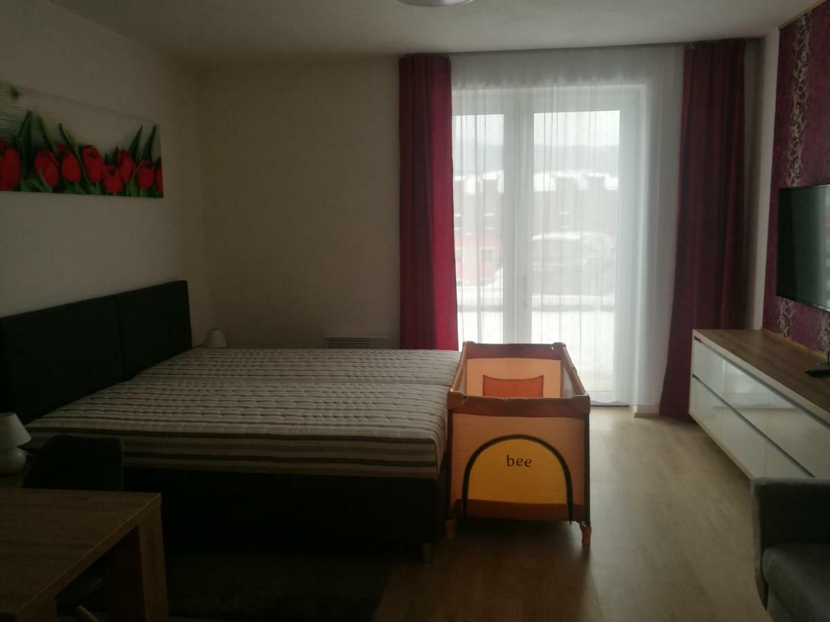 Apartmány Sport Dolní Morava Esterno foto